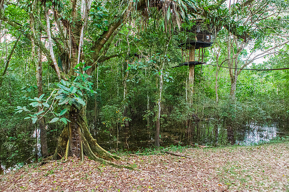 KelliBeePhotography-Peru-Amazon-Day4-0042