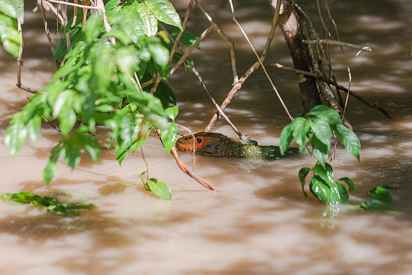 KelliBeePhotography-Peru-Amazon-Day5-0040