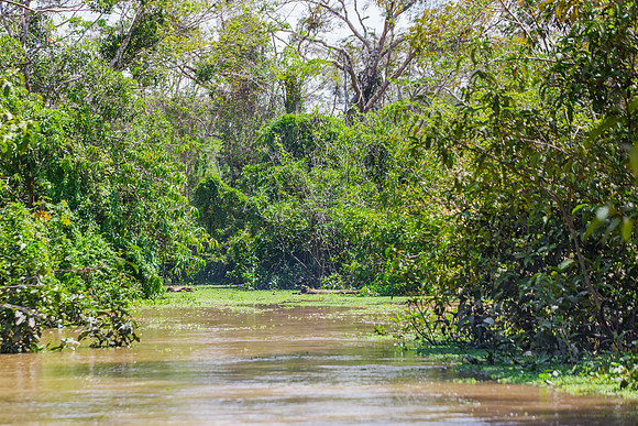 KelliBeePhotography-Peru-Amazon-Day5-0059