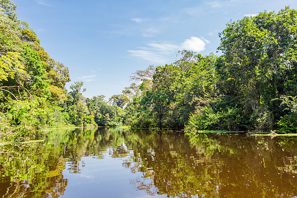 KelliBeePhotography-Peru-Amazon-Day5-0093