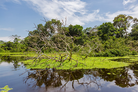 KelliBeePhotography-Peru-Amazon-Day5-0112