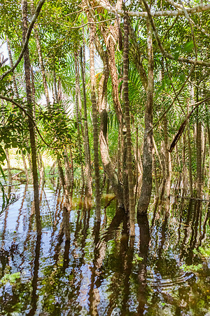 KelliBeePhotography-Peru-Amazon-Day5-0125