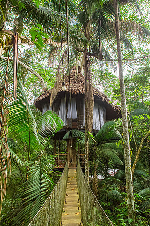 KelliBeePhotography-Peru-Amazon-Day 7-Sloth-Anaconda-Campesina-Community-0266