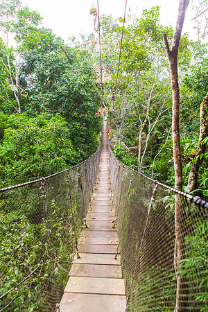 KelliBeePhotography-Peru-Amazon-Day5-0288