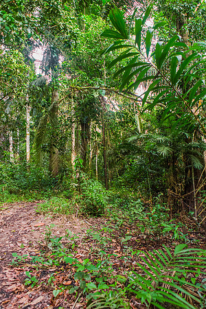 KelliBeePhotography-Peru-Amazon-Day5-0297