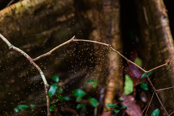 KelliBeePhotography-Peru-Amazon-Day5-0301