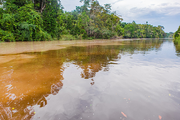 KelliBeePhotography-Peru-Amazon-Day5-0320