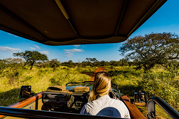 003A4909
