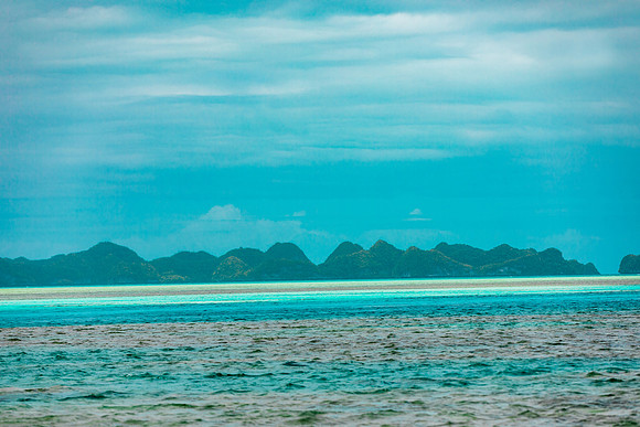 20190307-073421-L