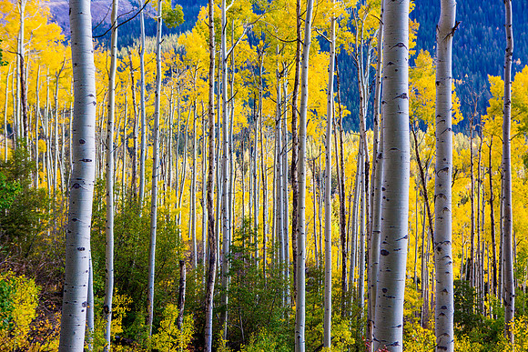 0127
