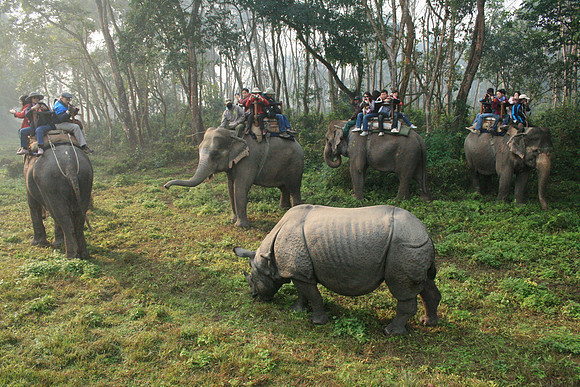 Nepal-Chitwan-National-Park