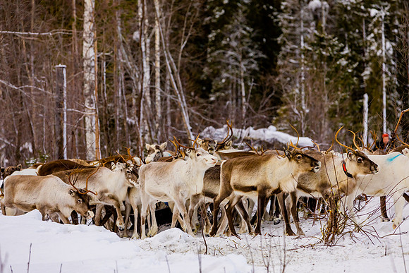 0249