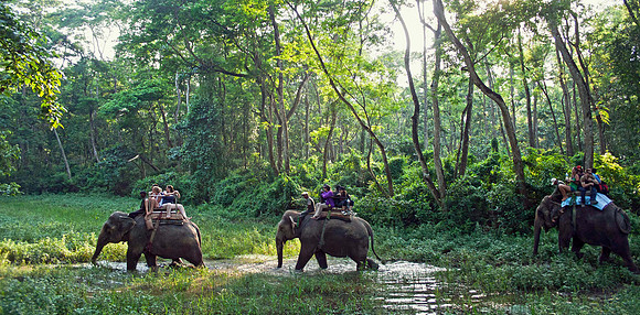 Chitwan.National.Park.original.2800